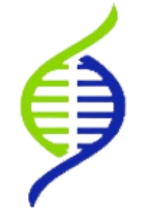 Logo LABORATORIO BIOFLASH